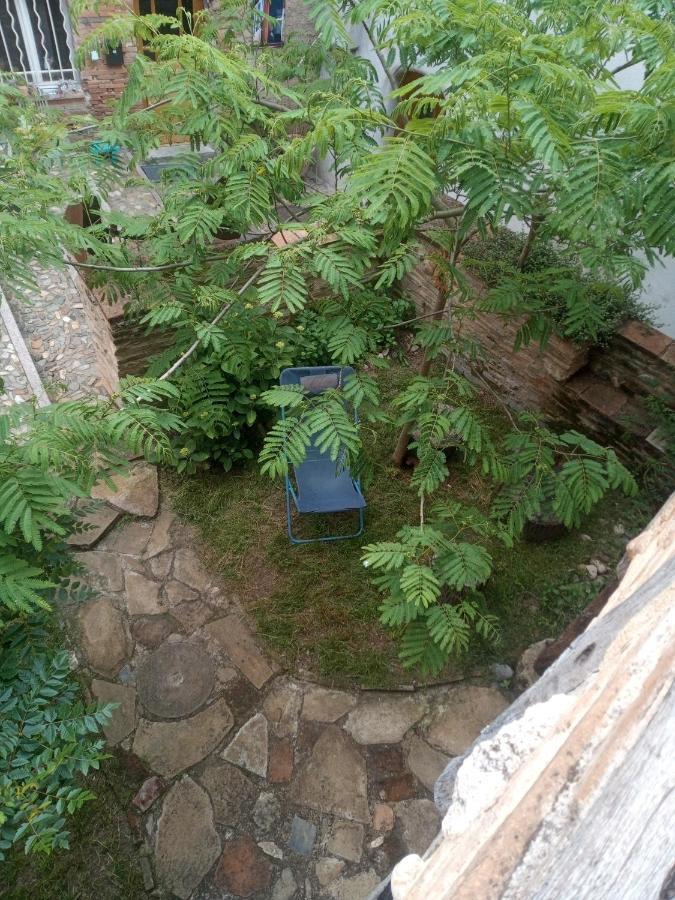 Bed and Breakfast La Lauze Et L'Anguille Gaillac Exterior foto